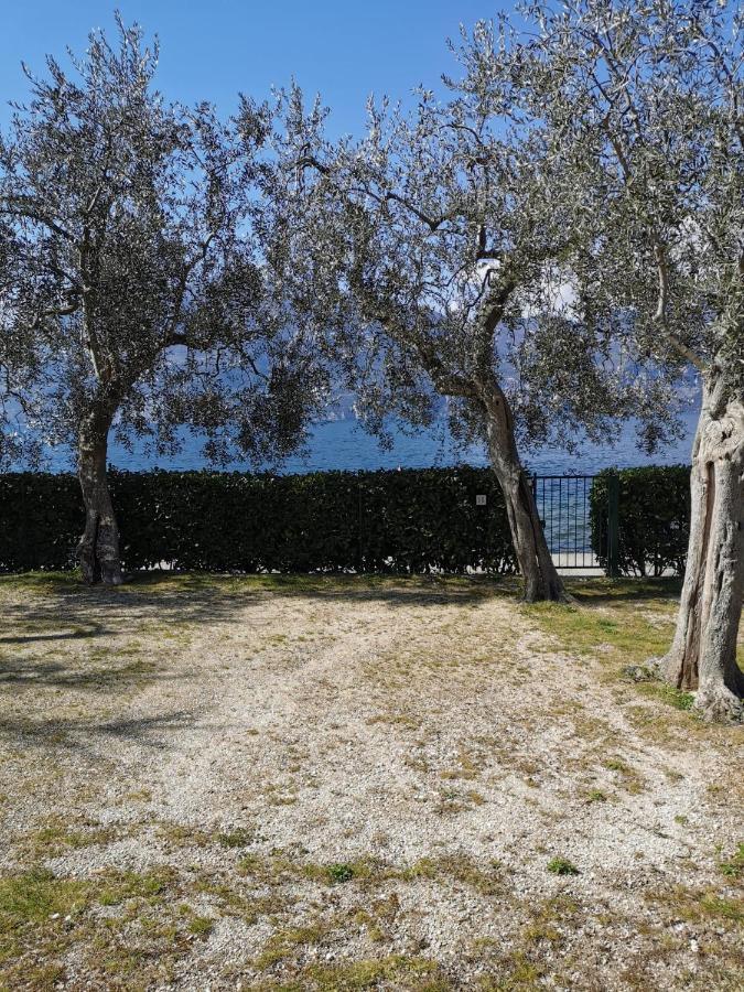 Camping Baldo برنزوني سول جاردا المظهر الخارجي الصورة