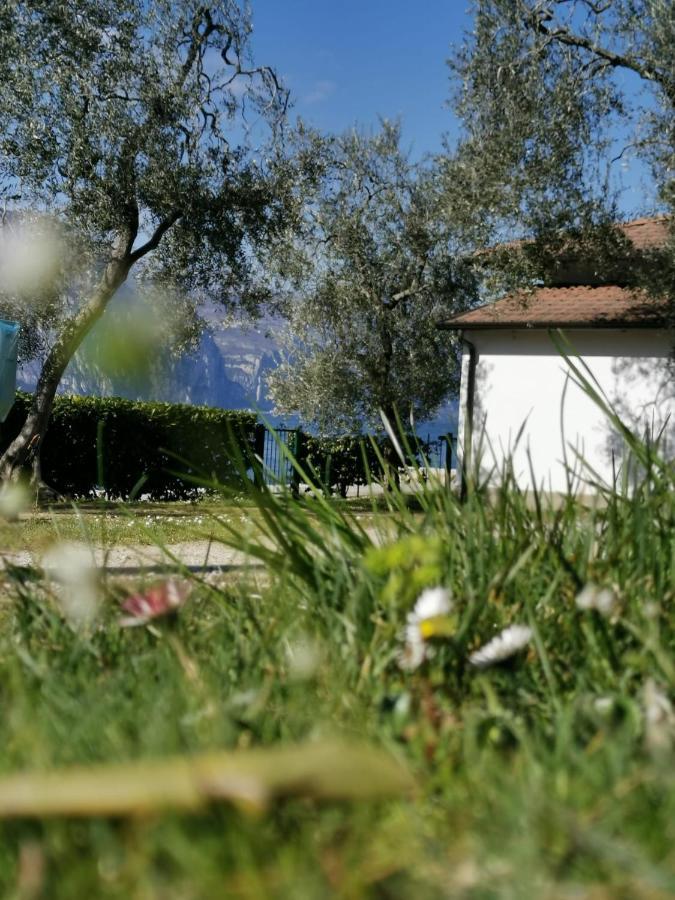 Camping Baldo برنزوني سول جاردا المظهر الخارجي الصورة