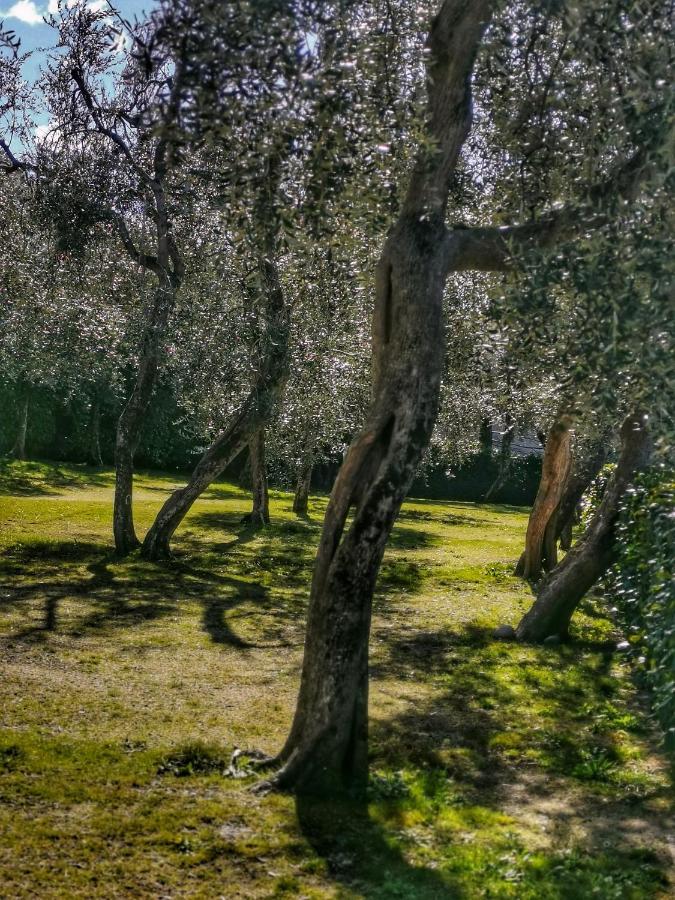 Camping Baldo برنزوني سول جاردا المظهر الخارجي الصورة