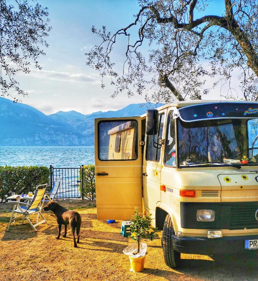 Camping Baldo برنزوني سول جاردا المظهر الخارجي الصورة