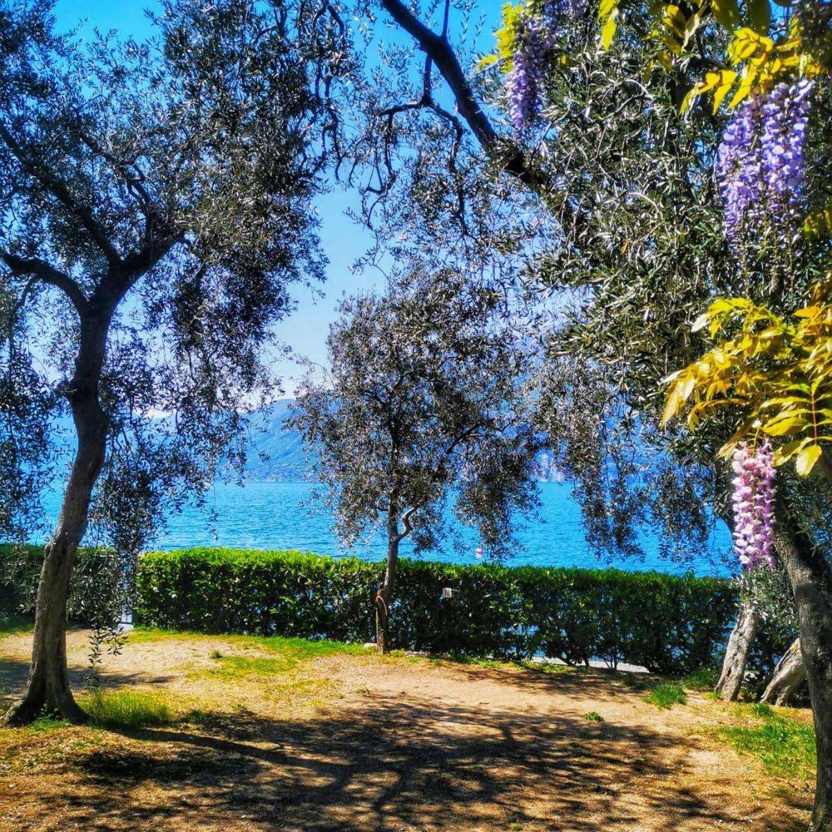 Camping Baldo برنزوني سول جاردا المظهر الخارجي الصورة